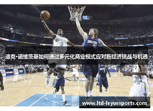 迪克·诺维茨基如何通过多元化商业模式应对新经济挑战与机遇