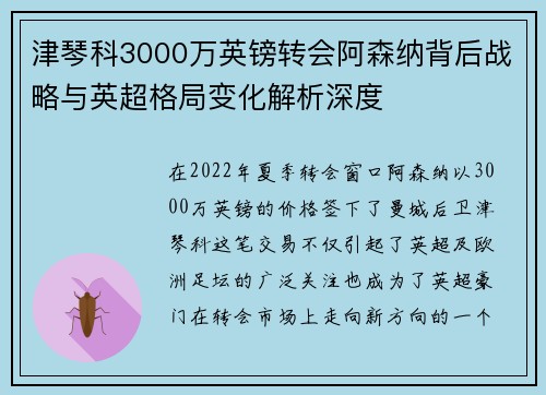 津琴科3000万英镑转会阿森纳背后战略与英超格局变化解析深度